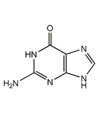 guanine